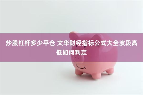 炒股杠杆多少平仓 文华财经指标公式大全波段高低如何判定