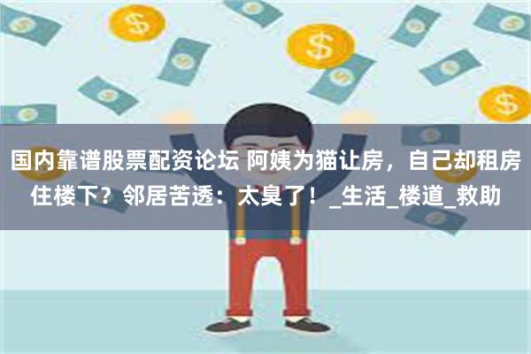 国内靠谱股票配资论坛 阿姨为猫让房，自己却租房住楼下？邻居苦透：太臭了！_生活_楼道_救助