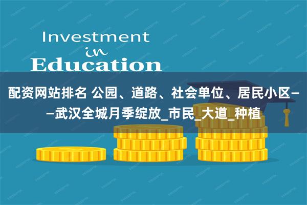 配资网站排名 公园、道路、社会单位、居民小区——武汉全城月季绽放_市民_大道_种植