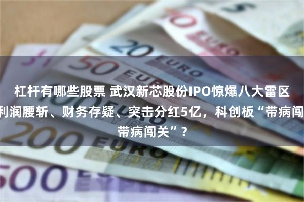 杠杆有哪些股票 武汉新芯股份IPO惊爆八大雷区：净利润腰斩、财务存疑、突击分红5亿，科创板“带病闯关”？