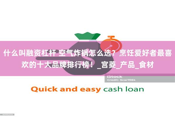 什么叫融资杠杆 空气炸锅怎么选？烹饪爱好者最喜欢的十大品牌排行榜！_宫菱_产品_食材