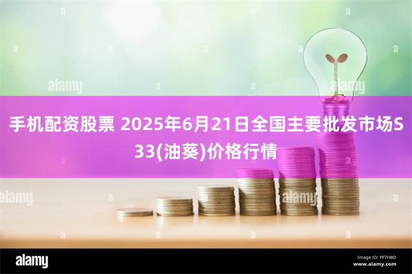 手机配资股票 2025年6月21日全国主要批发市场S33(油葵)价格行情