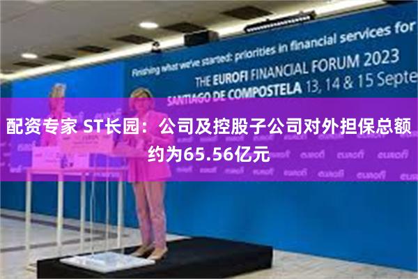 配资专家 ST长园：公司及控股子公司对外担保总额约为65.56亿元