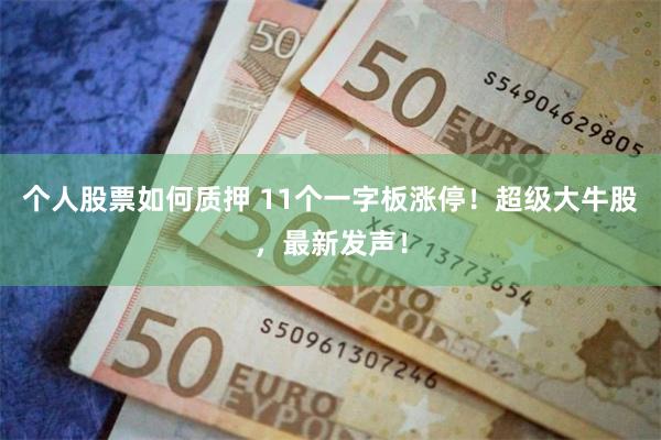 个人股票如何质押 11个一字板涨停！超级大牛股，最新发声！